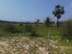 Beach Front Land for Sale in Pasikuda