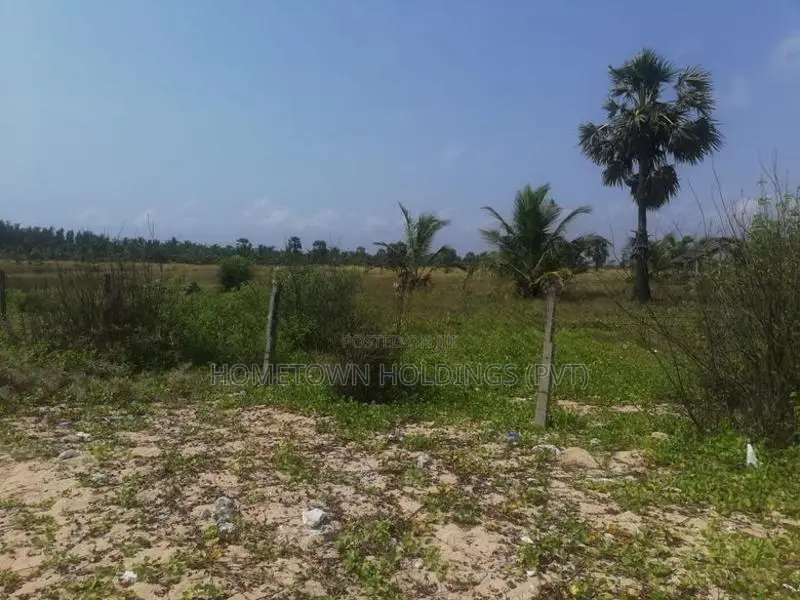 Beach Front Land for Sale in Pasikuda