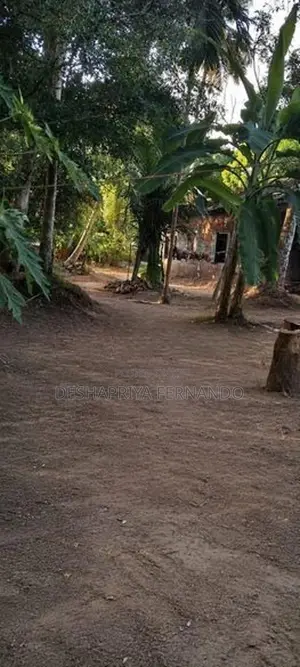 Commercial Land for Rent in Ja-Ela, Minuwangoda