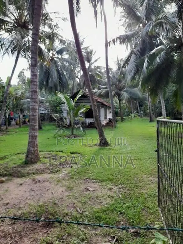 Land for Sale in Kochchikade