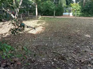 Land for sale in Dambulla
