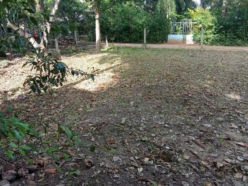 Land for sale in Dambulla