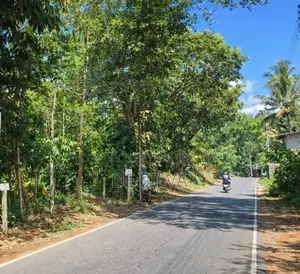 Land for Sale in Sirimalwatta Kandy 21.9 Perches