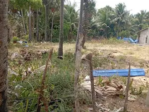 A9 Land for Sale in Meesalai North