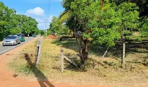 අනුරාධපුර පූජා නගරයෙන් සින්නක්කර ඉඩමක් විකිණීමට