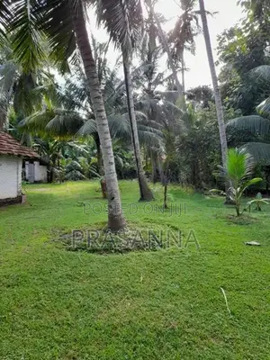 Land for Sale in Kochchikade