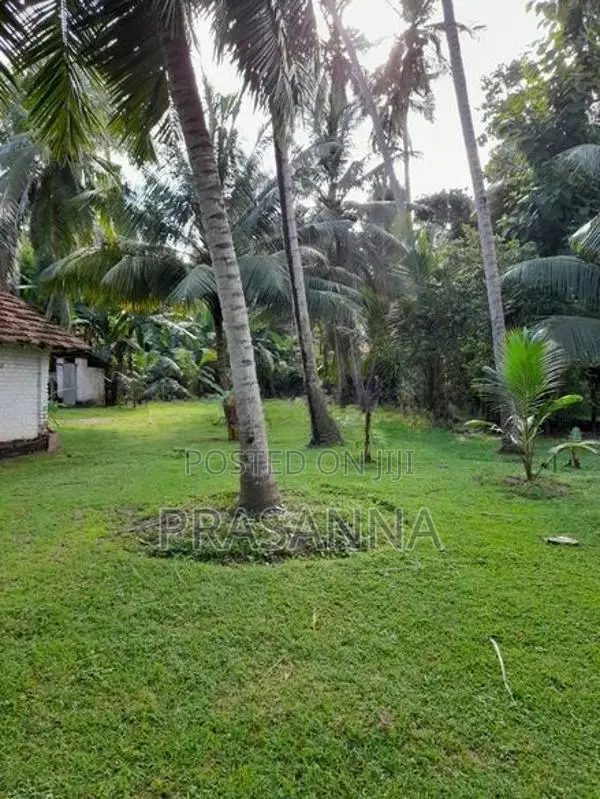 Land for Sale in Kochchikade