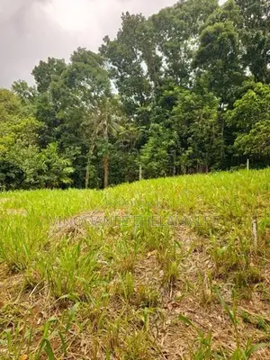 Land for Sale Mawanella