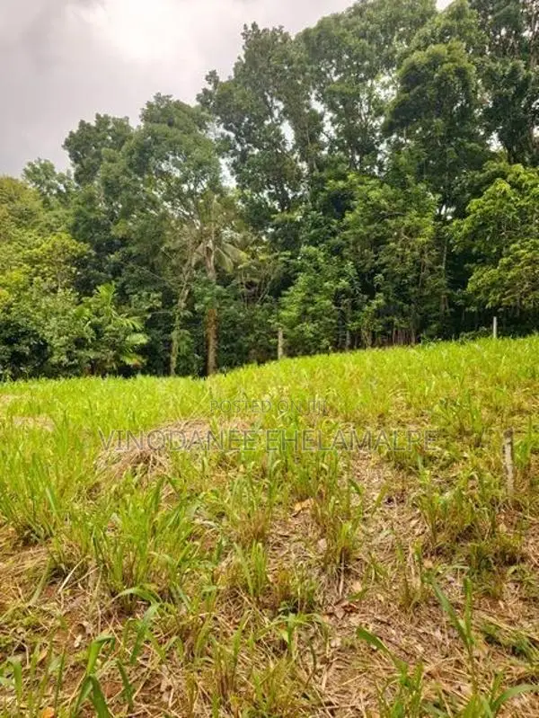 Land for Sale Mawanella
