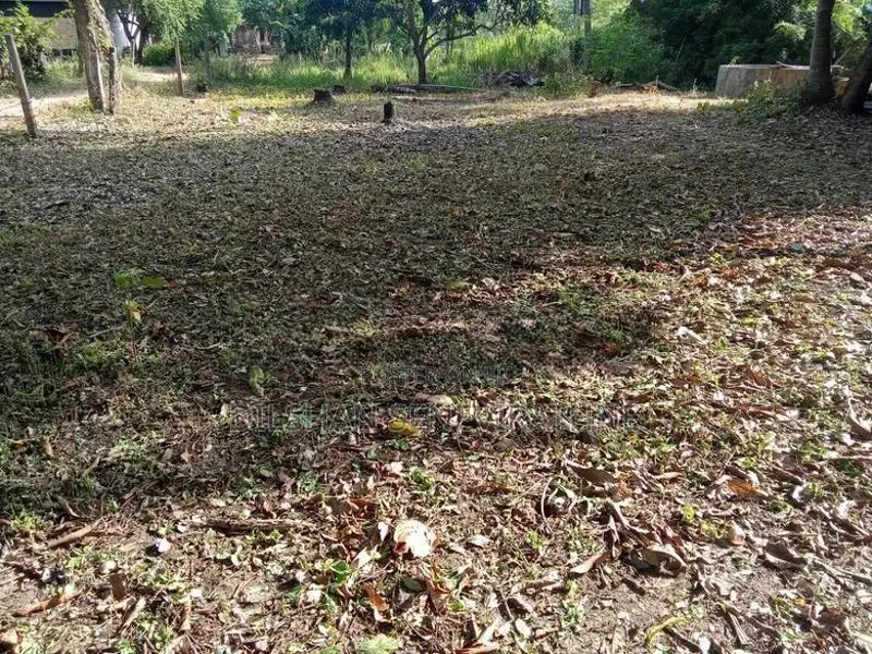 Land for sale in Dambulla