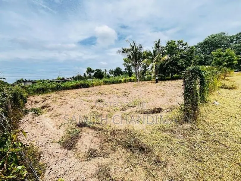 Land for Sale Bingiriya