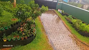 රැකියා නියුතු ගැහැනු ලමයි සදහා නවාතැන් පහසුකම් ඇත මීගොඩ