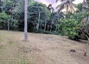 Land for Sale - Thalawathugoda