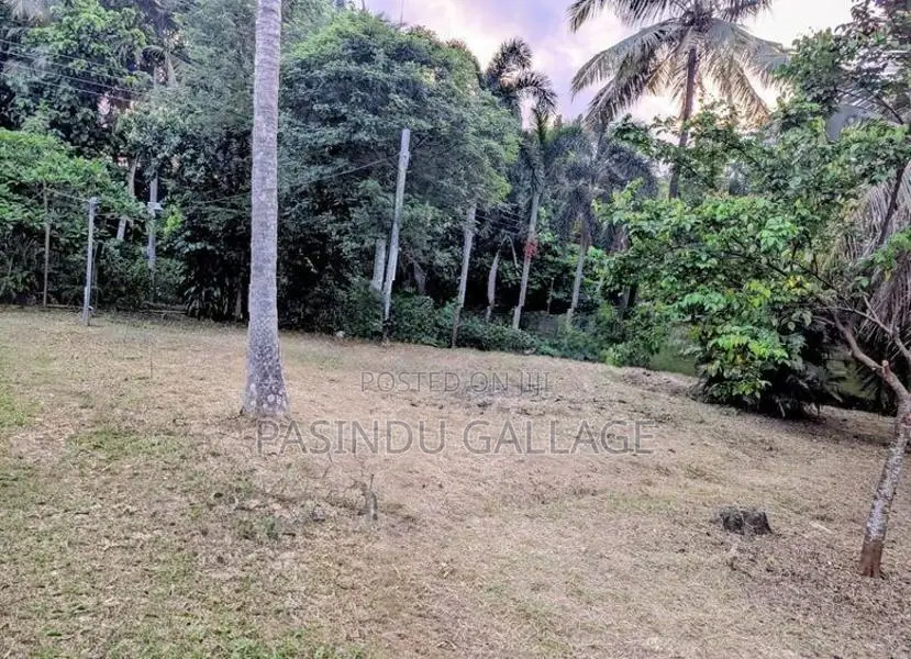 Land for Sale - Thalawathugoda