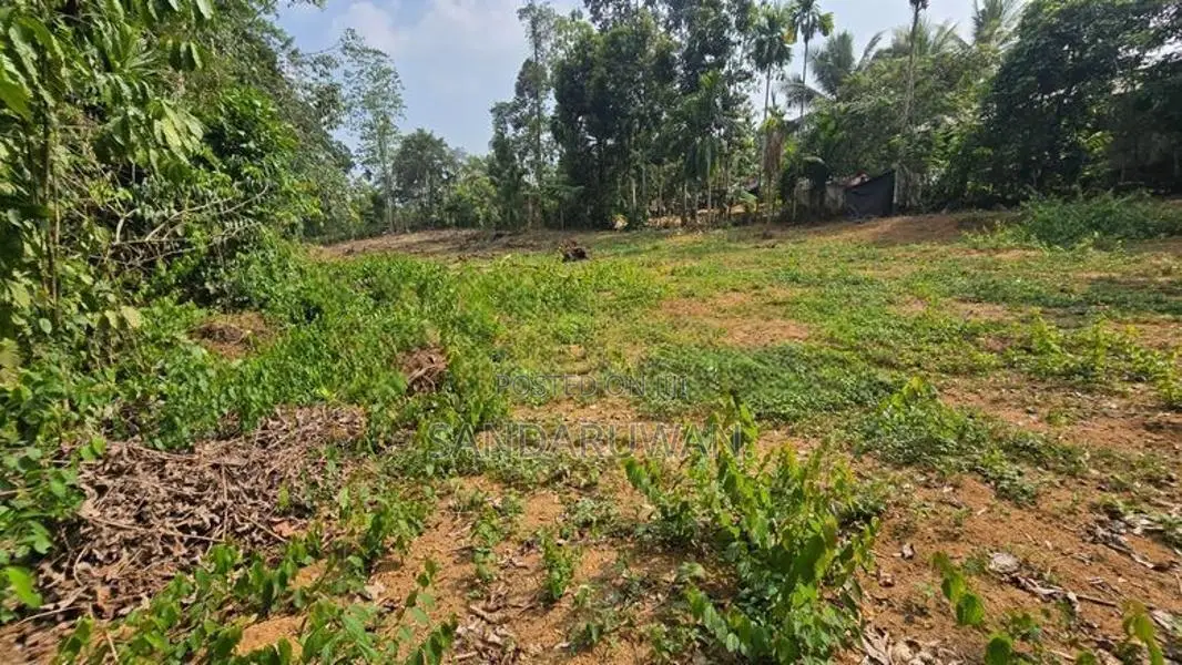 Avissawella Land for Sale 87 Perch