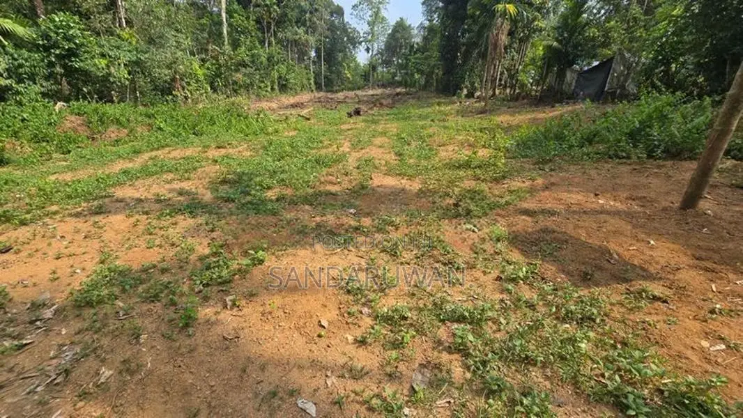 Avissawella Land for Sale 87 Perch