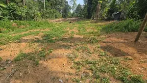 Avissawella Land for Sale 87 Perch