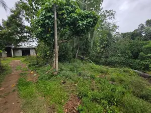 Land for Sale in Nelundeniya