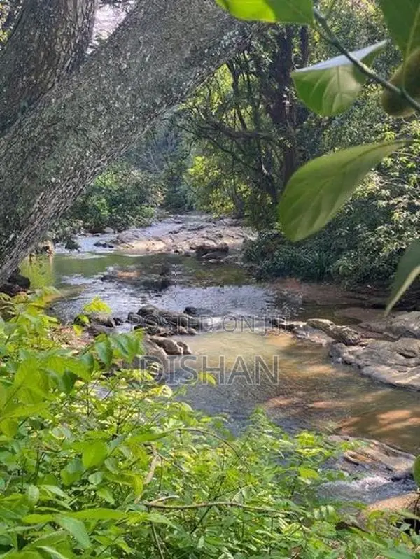 10.7- Perch Waterfront Land in Kandy District Sale