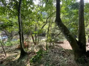 10.7- Perch Waterfront Land in Kandy District Sale