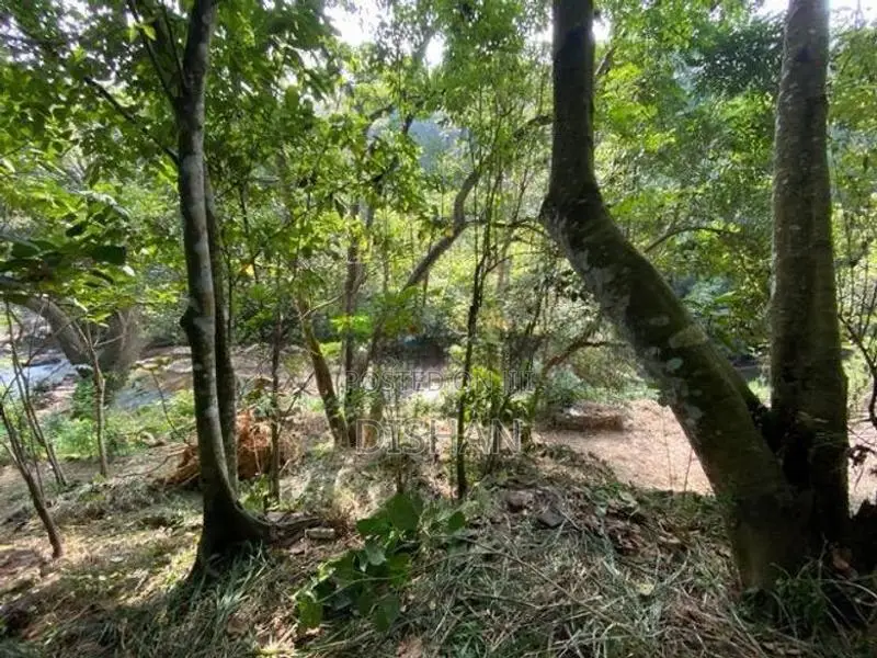 10.7- Perch Waterfront Land in Kandy District Sale