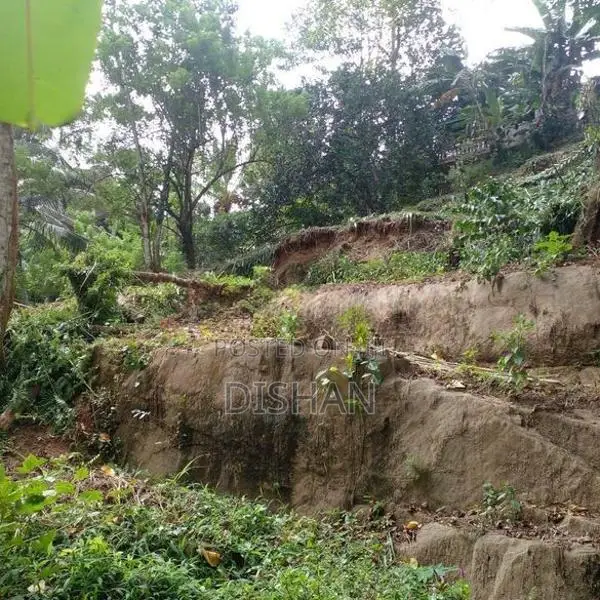 10.7- Perch Waterfront Land in Kandy District Sale