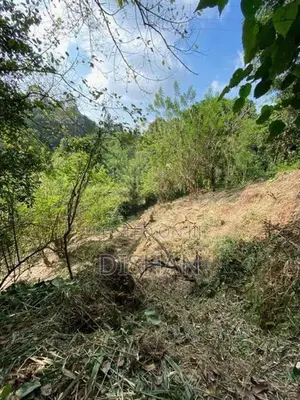 10.7- Perch Waterfront Land in Kandy District Sale