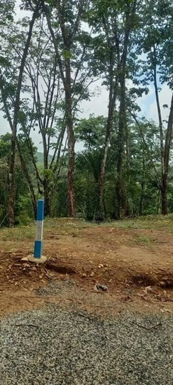 Land for Sale in Horana