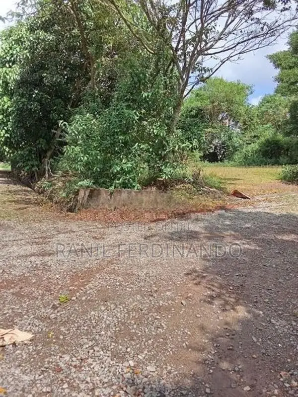 Land For Sale Thalawathugoda Hokandara