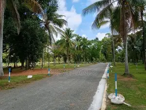 Land In Divulapitiya
