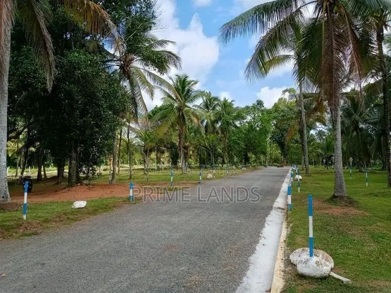 Land In Divulapitiya