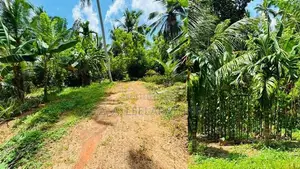 Land for Sale Minuwangoda
