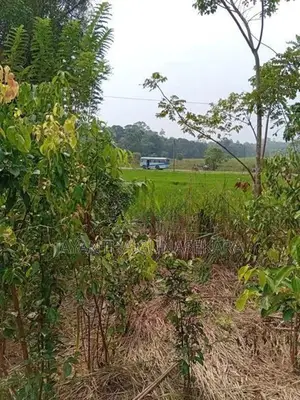 Land For Sale in Weligama Tourist Area