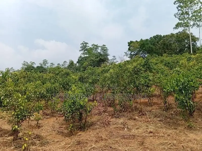 Land For Sale in Weligama Tourist Area