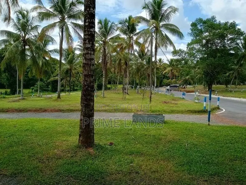 Land In Divulapitiya
