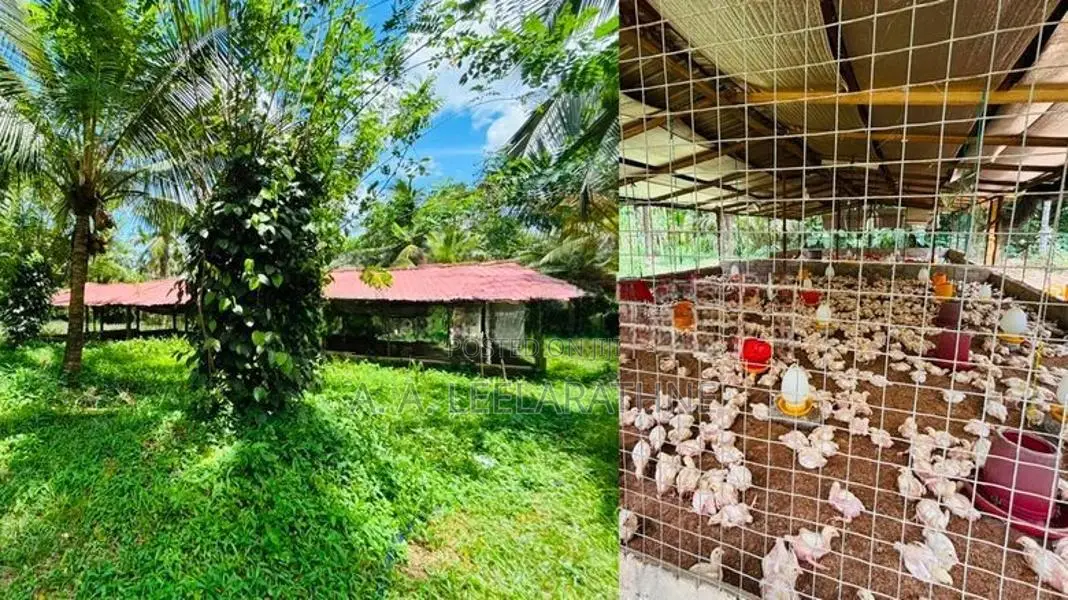 Land for Sale Minuwangoda