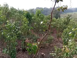 Land For Sale in Weligama Tourist Area