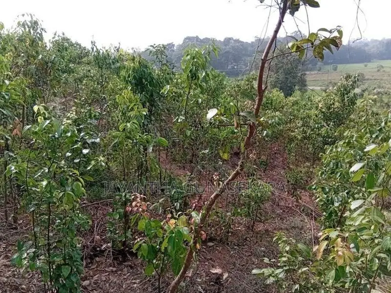 Land For Sale in Weligama Tourist Area