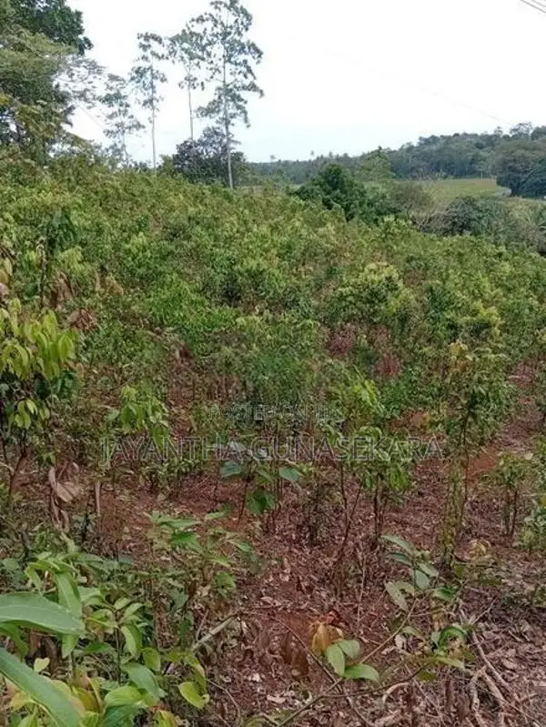 Land For Sale in Weligama Tourist Area