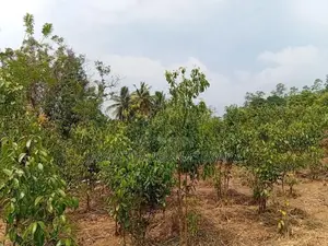 Land For Sale in Weligama Tourist Area