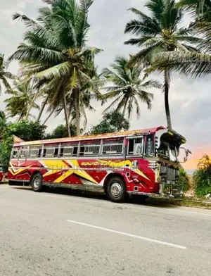 Ashok-Leyland Leyland 2017 Bus (Used)