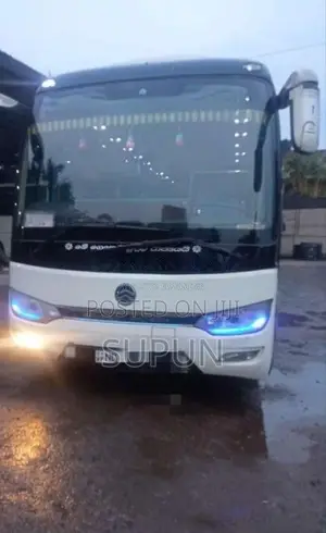 Other Golden Dragon 2017 Bus (Used)