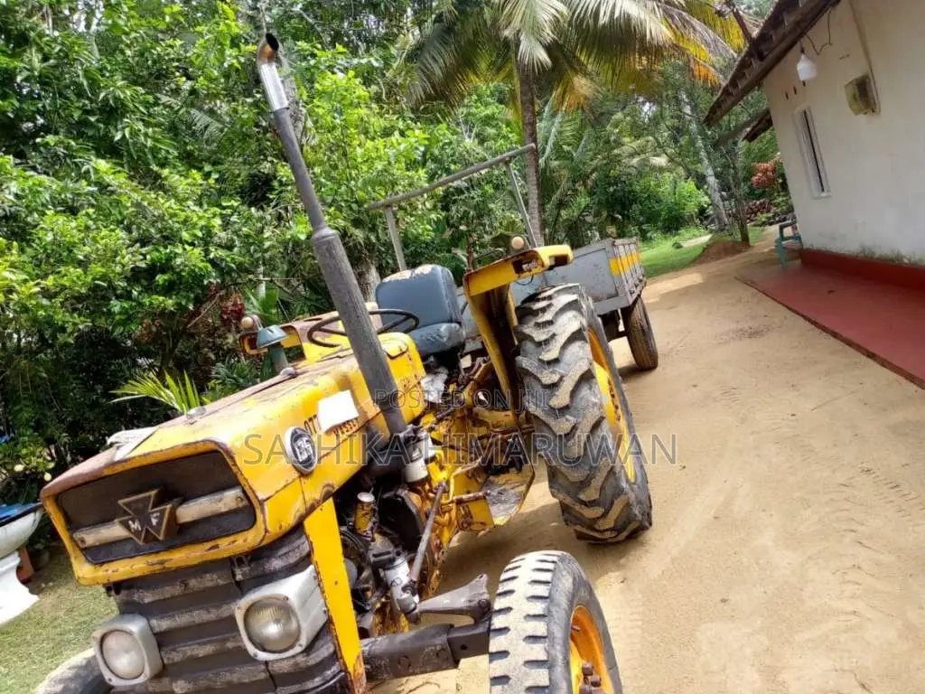 Massey-Ferguson 135 DL 2026 Tractor (Used)