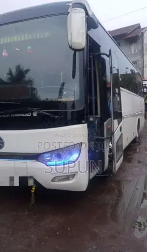 Other Golden Dragon 2017 Bus (Used)