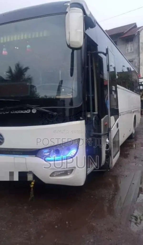 Other Golden Dragon 2017 Bus (Used)