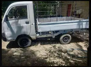 Mahindra Maxximo 2011 Lorry (Used)