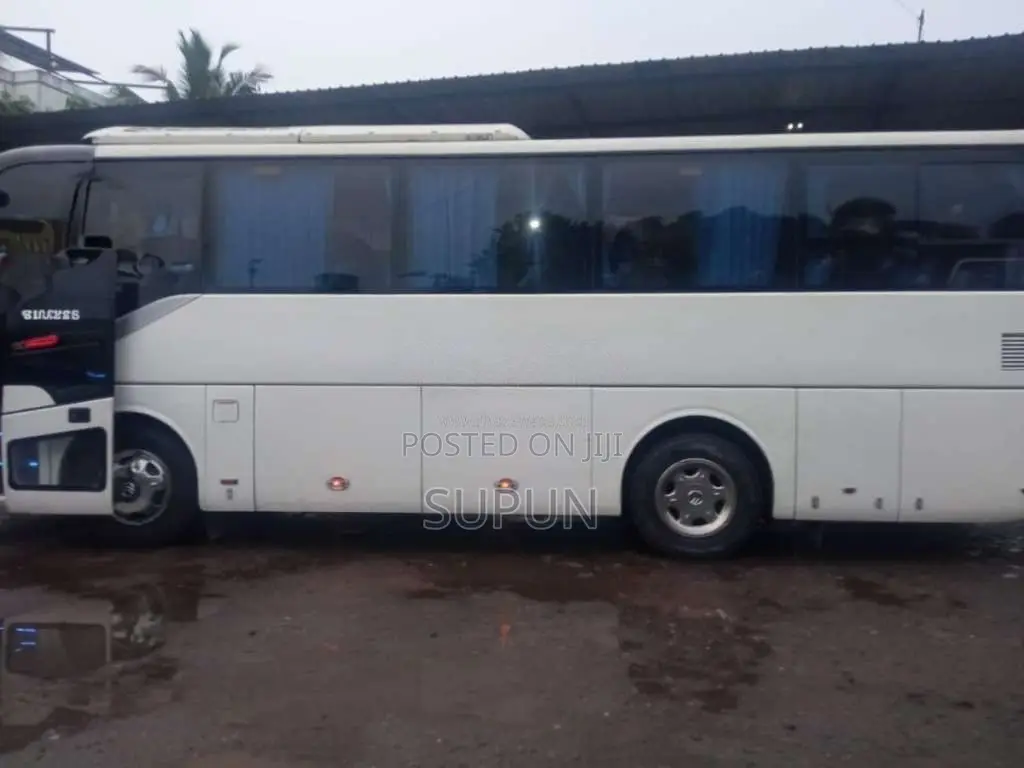 Other Golden Dragon 2017 Bus (Used)
