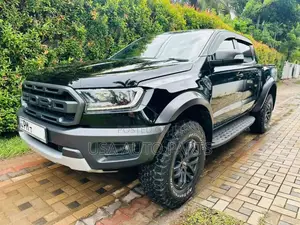 Ford Raptor 2019 Pickup (Used)