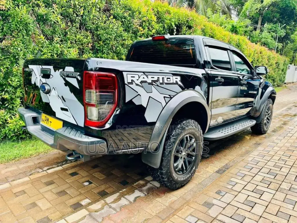 Ford Raptor 2019 Pickup (Used)