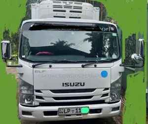 Isuzu Freezer 2015 Lorry (Used)
